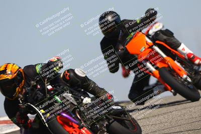 media/Oct-06-2025-2WTD (Mon) [[90522c3a0b]]/B Group/1120am (Grapevine)/